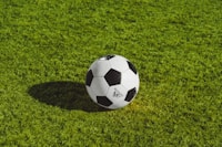 国际足球联合会 FIFA 官方标志